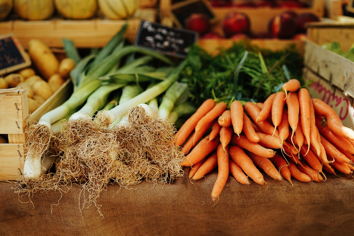 Nutrition expert reviewing dietary guidelines and wellness plans